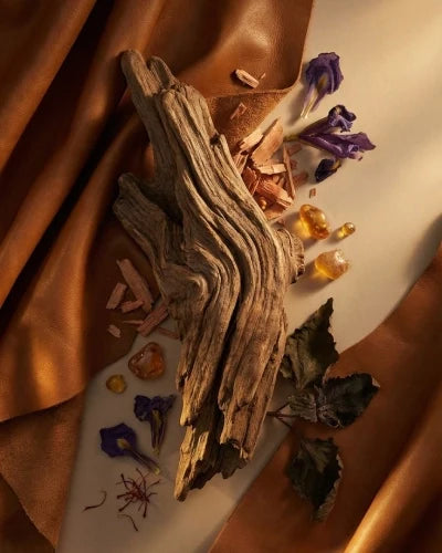LEATHER FRAGRANCE