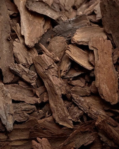 OUD FRAGRANCE